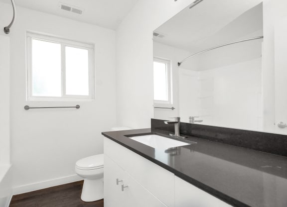a bathroom with a sink and a toilet and a mirror