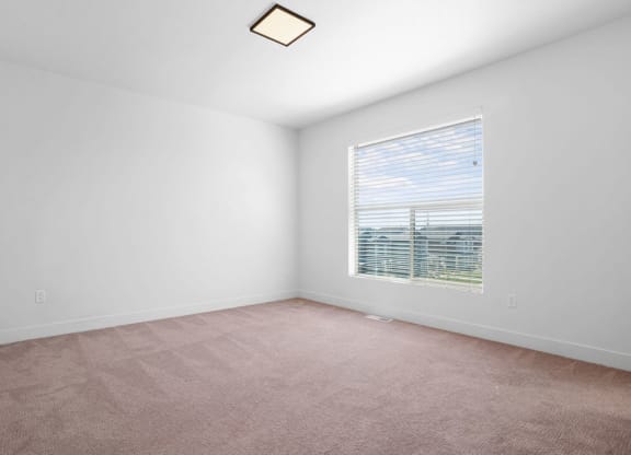 an empty room with a window and carpet