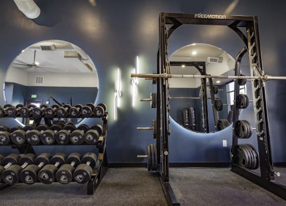 a gym with weights and a rack of dumbbells
