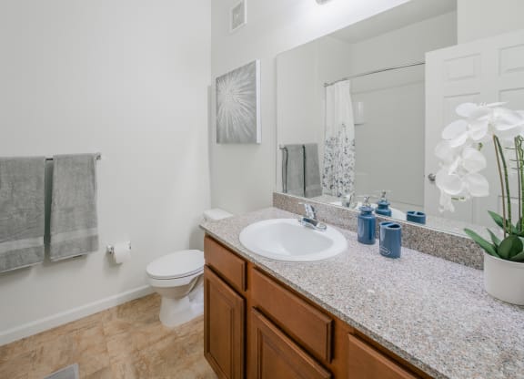a bathroom with a sink and a toilet and a mirror at Aldara Apartments in Saratoga Springs, Utah