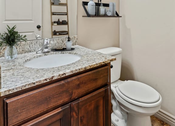 a bathroom with a toilet and a sink and a mirror
