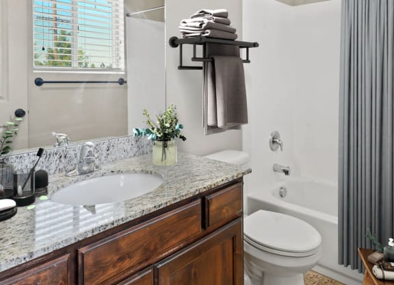 a bathroom with a sink and a toilet and a shower