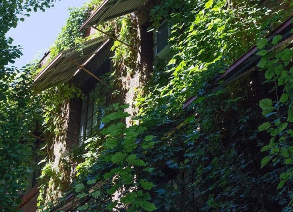 photo of the The Barbara Worth Apartments in Downtown Salt Lake City, Utah