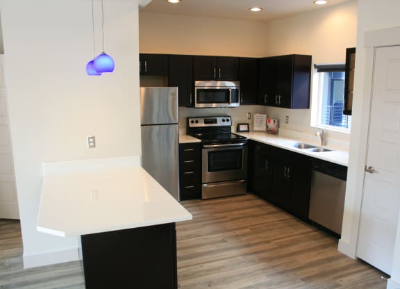 an empty kitchen with black cabinets and stainless steel appliances at BlueKoi Townhomes for rent in Salt Lake City, UT