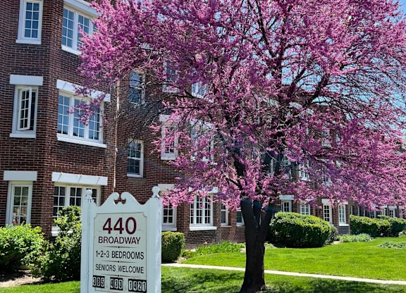 A tree with pink blossoms stands in front of a brick building with a sign that reads 440 Broadway.
