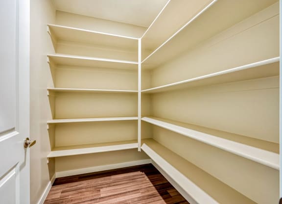 a large walk in closet with empty shelves at Brookfield Apartments for rent in St. George, UT.