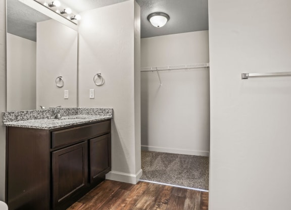a bathroom with a sink and a mirror