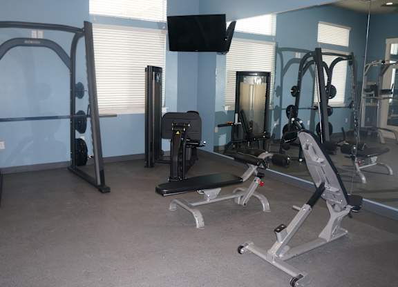 A gym with a variety of equipment including a squat rack, a leg press machine, and a bench press.