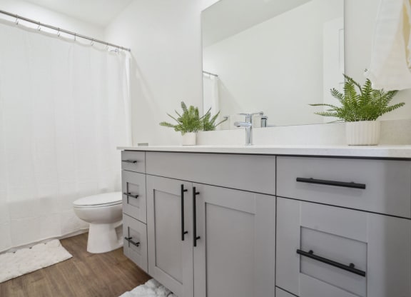 a bathroom with a toilet and a sink and a mirror