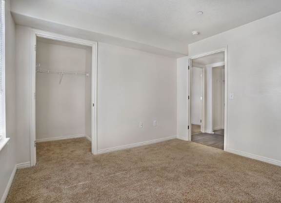 A room with carpeted floor and two open doors.