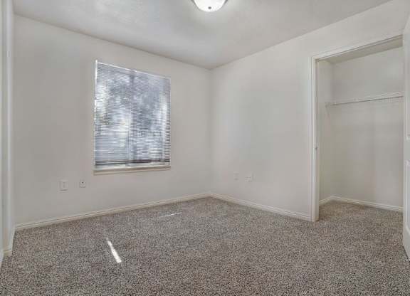 A room with a window and a carpeted floor.