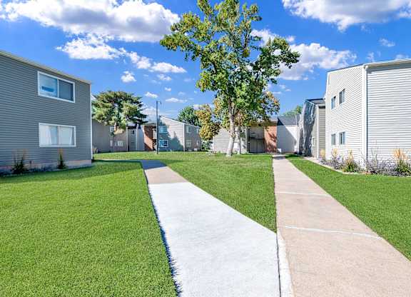 A tree stands in the middle of a grassy area between two sidewalks.