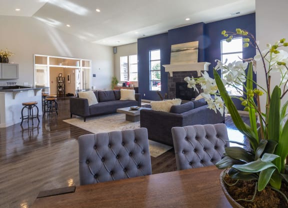 a living room with a blue accent wall and hardwood floors
