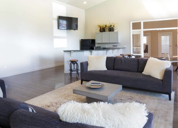 a living room with two couches and a coffee table