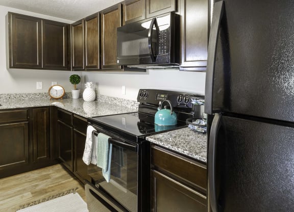 our apartments have a modern kitchen with stainless steel appliances