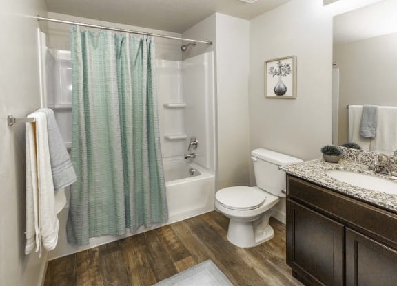 a bathroom with a white toilet next to a bathtub with a shower curtain