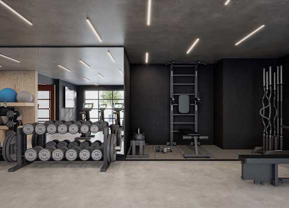 A gym with weights and a ladder.