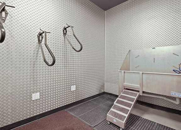 A bathroom with a shower, a sink, and a step ladder.