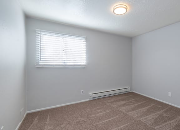 A room with a window and a carpeted floor.