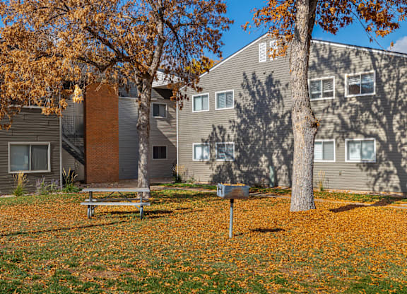 A tree with orange leaves stands in front of a grey building.