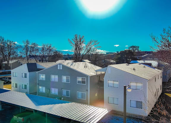 A sunny day in a residential area with houses and trees.