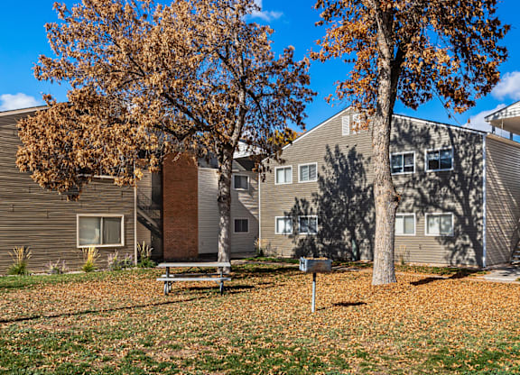 A tree with orange leaves stands in front of a grey building.
