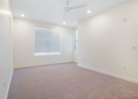 a large carpeted bedroom with a window