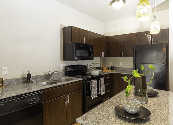 kitchen with dark cupboards from The Lotus Apartments in Downtown Salt Lake City, Utah