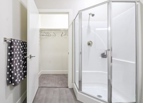 a bathroom with a shower and a closet