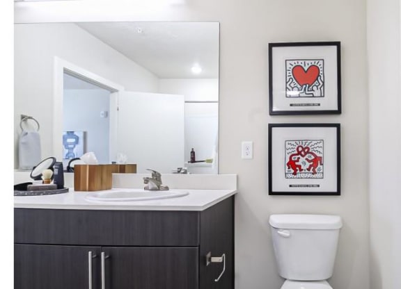 a bathroom with a toilet and a sink and a mirror