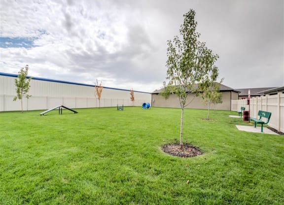 Aderra apartments dog park