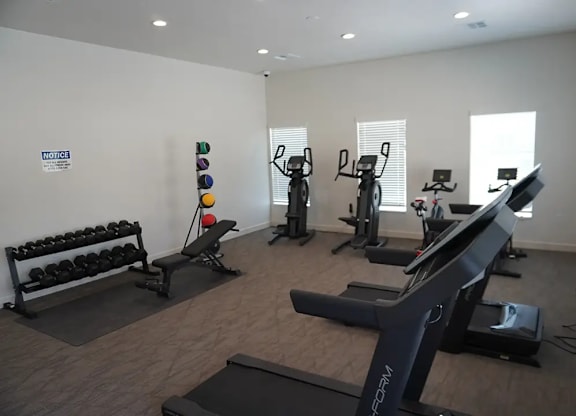A gym with treadmills, exercise bikes, and dumbbells.
