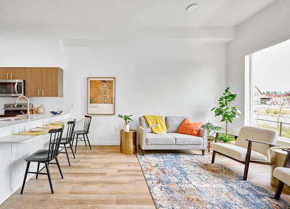 A living room with a grey couch and a blue rug.