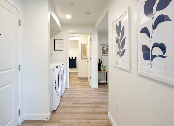 A hallway with a washer and dryer on the left and a plant on the right.
