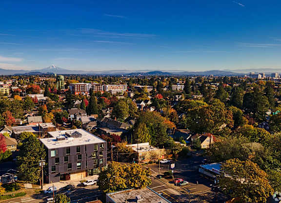 A cityscape with a mountain in the distance.