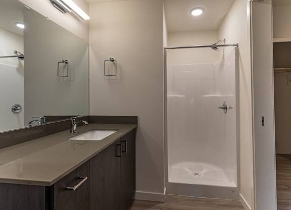 A modern bathroom with a walk-in shower and double sink vanity.