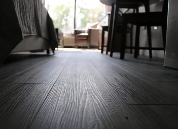 a living room with wooden floors and a window at Schaefer Ridge Apartments, Branson , MO