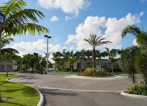 a roundabout with palm trees in front of a building