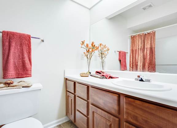 a bathroom with a toilet sink and bathtub at Arbors at Windsor Lake, South Carolina