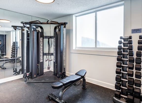 A gym with a variety of equipment including a leg press machine, a bench, and a rack of dumbbells.