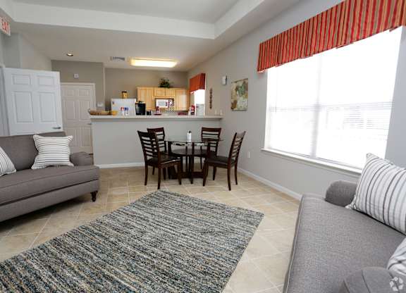 A living room with a grey couch and a rug.