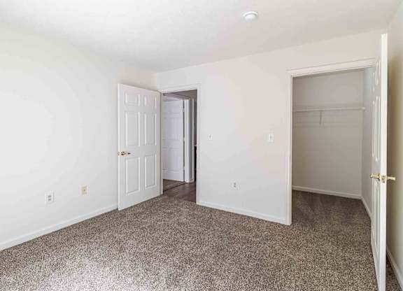 A room with a carpeted floor and two doors, one of which is open.