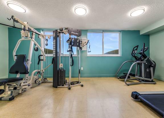 a gym with a lot of exercise equipment and a window