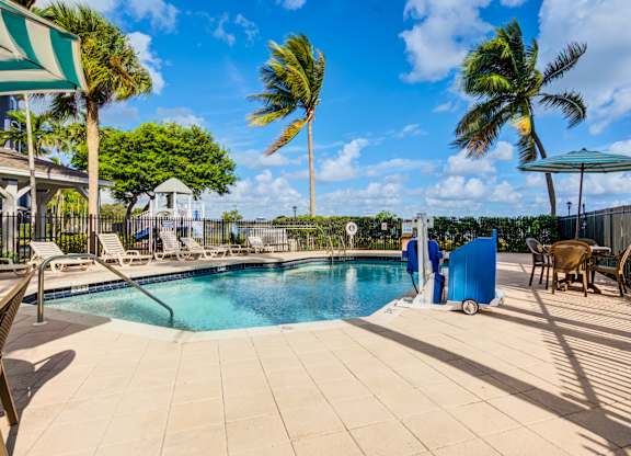 A pool surrounded by palm trees and a blue sky.
