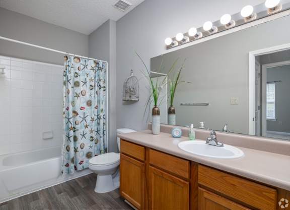 a bathroom with a shower toilet and sink and a mirror at Magnolia Lake Apartments, Carrollton, GA