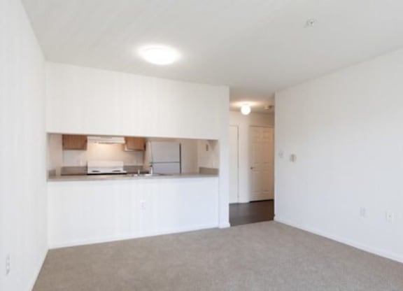 A large empty room with a kitchen area in the background.