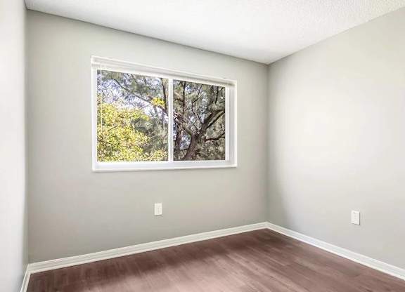 A room with a window showing trees outside.