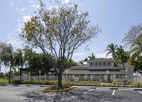 A tree with yellow leaves stands in front of a grey building.