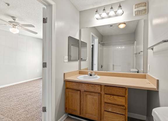 a bathroom with a sink and a mirror at Palms on Ashley River Apartments, Ladson, SC, 29456