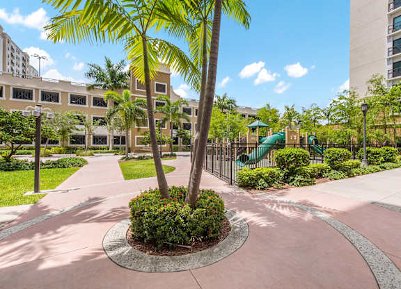 A palm tree in a courtyard with a playground in the background.